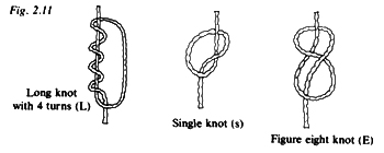 image0.pict